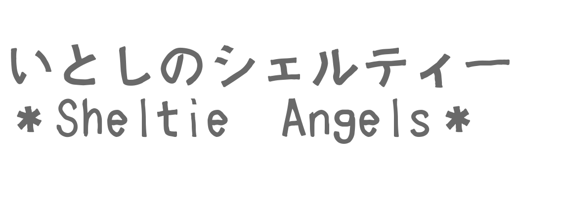 いとしのシェルテｨ  *Sheltie Angels*