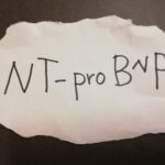 NT-proBNP（脳性Na利尿ペプチド前駆体N端フラグメント）